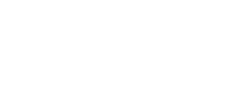 Voss Coaching Co Logo